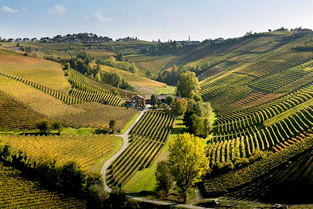 Visita i produttori e assaggia le tipicità del territorio